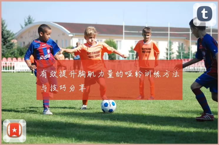 有效提升胸肌力量的哑铃训练方法与技巧分享