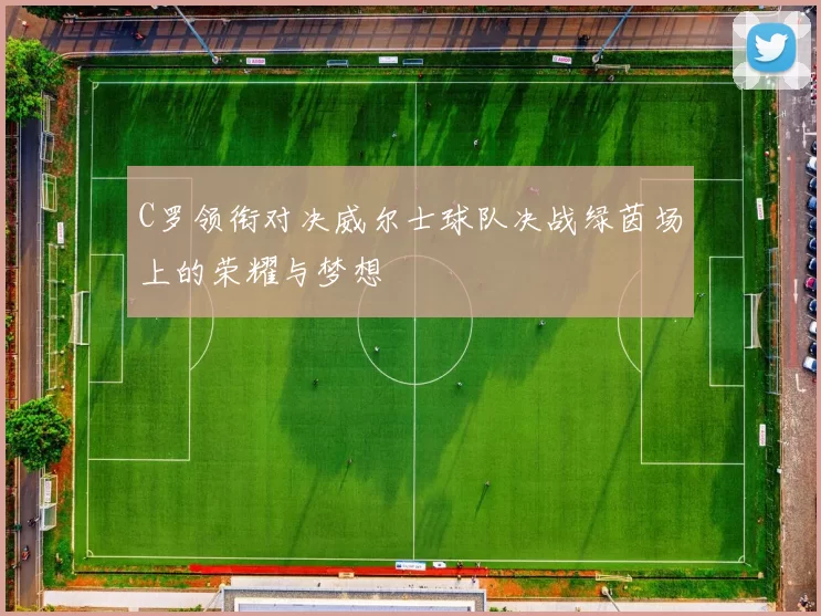 C罗领衔对决威尔士球队决战绿茵场上的荣耀与梦想