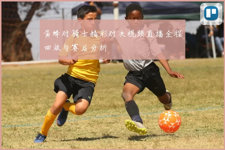 黄蜂对骑士精彩对决视频直播全程回放与赛后分析